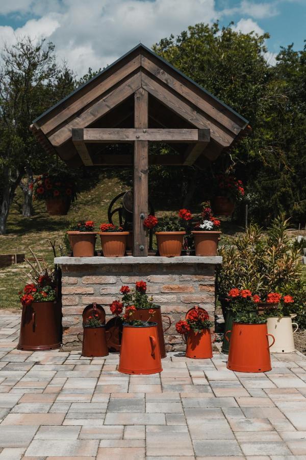 Dreko Panzio & Borbisztro Bed & Breakfast Gyorujbarat Bagian luar foto